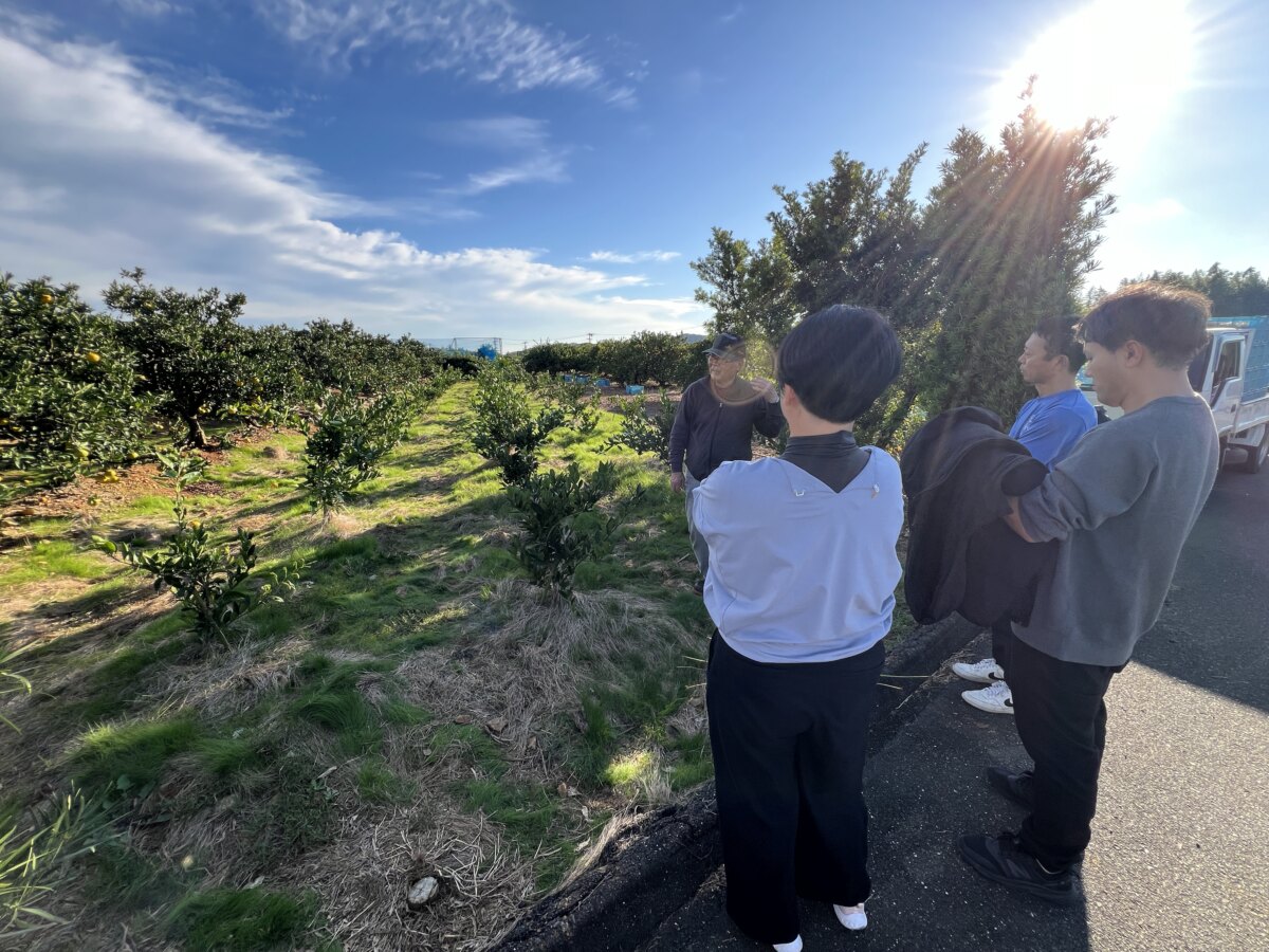 ブルーレイクプロジェクトみかん畑